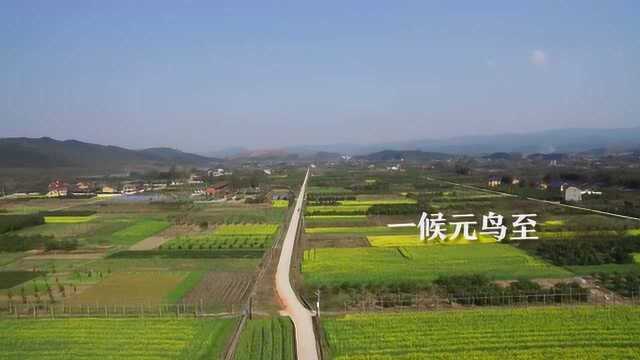 今日春分 丨靖州美景在省红网“红视频”霸屏