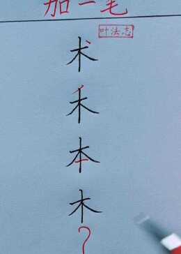 木加一笔，看哪位高手加得最多！