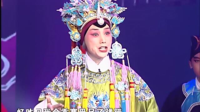 梨园春:陈秀兰演唱豫剧《寻儿记》选段“众衙役声声请声如雷震”