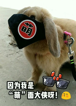 “萌”面大侠变装秀