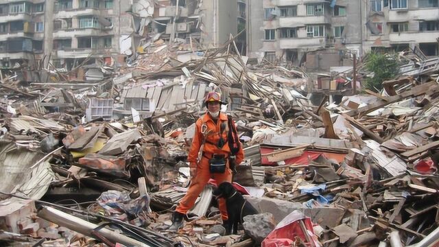 未解之谜!512汶川大地震前的几大怪异现象,至今专家无法解释!