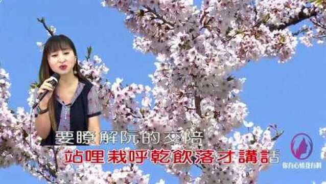 带你一起听好歌 翻唱流行歌曲 酒国一蕊花