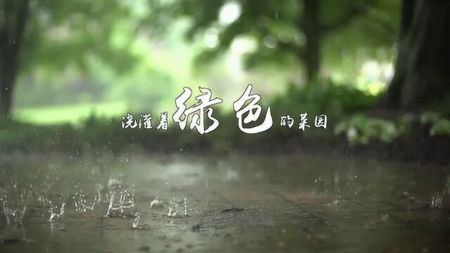 原创现代诗二首