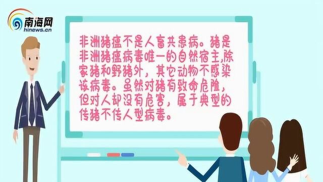 非洲猪瘟来了!这些知识点你要了解