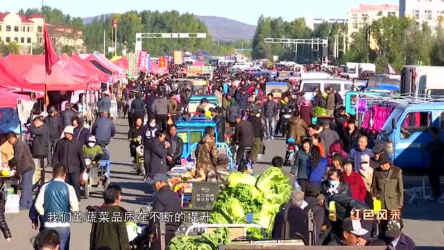 阿荣先锋:金丰公社的助农情怀、那吉村的变迁