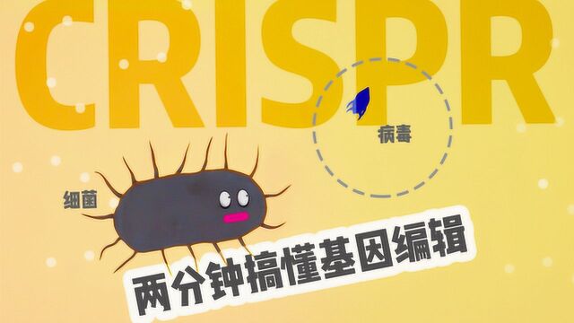 2分钟看懂CRISPR,基因编辑从此开始