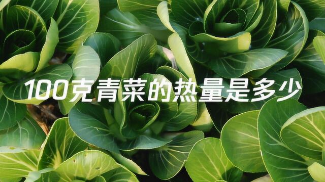 100克青菜的热量是多少