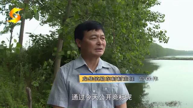 龙集镇:公共资产竞标招租 “活了”土地 “富了”集体