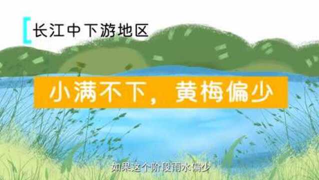 二十四节气与农耕文明系列动画丨为何“小满不满,麦有一险”?