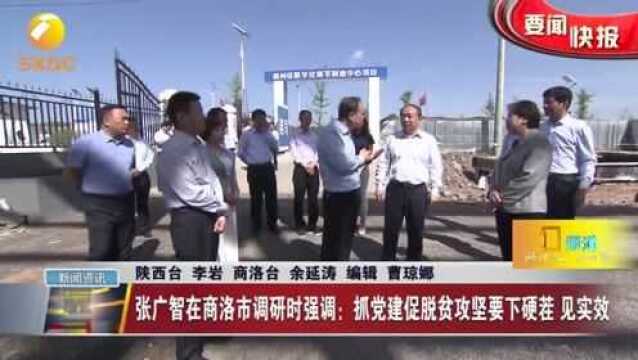 张广智在商洛市调研时强调:抓党建促脱贫攻坚要下硬茬,见实效