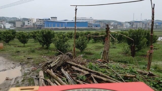 四土四水克三家难有出头改为良,风水大师寻龙点穴住宅家居风水