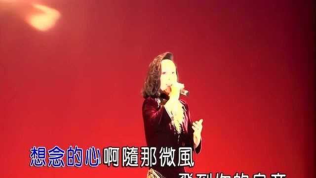 好歌推荐:山子华现场版演唱《思乡》