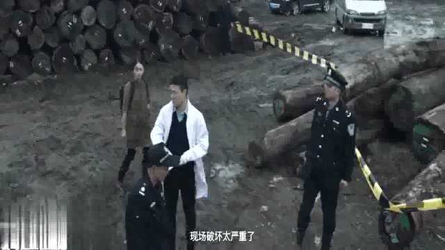 白雾谜岸,美女在剧场里被人杀死,然后做成冰雕