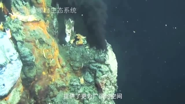 自然资源部邀您:珍惜海洋资源 保护海洋生物多样性