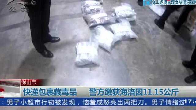 保山市:快递包裹有猫腻警方现场查缴收获大