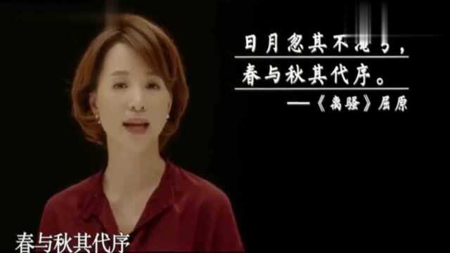 央视主持人董卿朗诵《十年》,我们的人生有多少个十年?