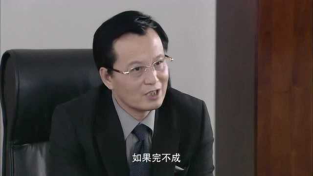 美女销售冠军应聘经理,总裁却说公司有副总空缺,但有一个条件