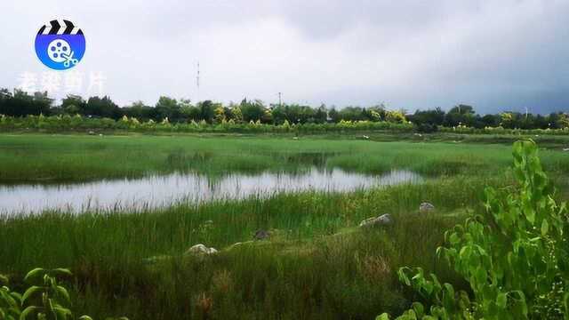 雨后骑行游呼和浩特大青山脚下哈拉沁