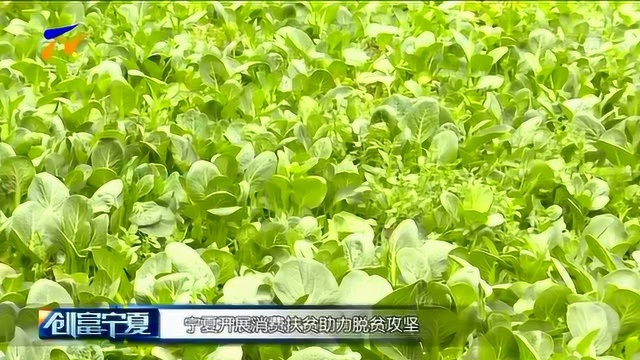 宁夏开展消费扶贫助力脱贫攻坚