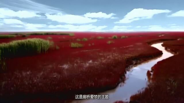 世界红色海岸线 红海滩风景廊道 大美无言的风光名片