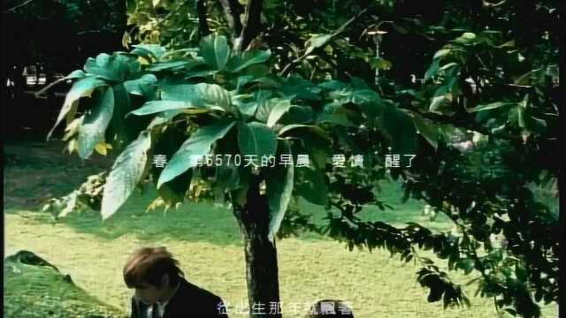 周杰伦《晴天》mv