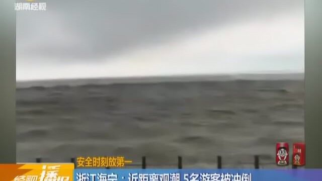 浙江海宁:近距离观潮 5名游客被冲倒