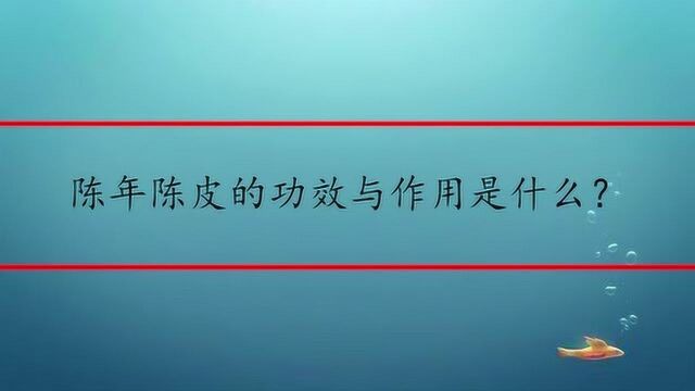 陈年陈皮的功效与作用是什么?