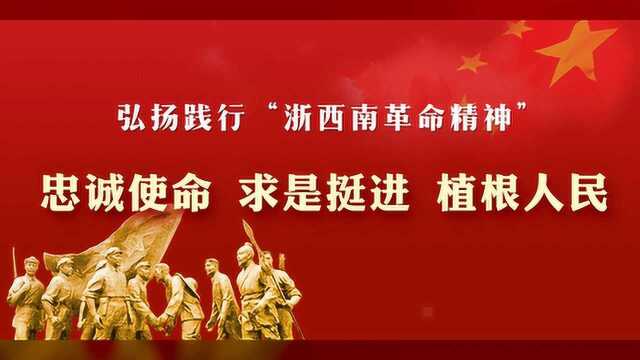 丽水市暑期校外培训机构交叉检查,3家机构被关停