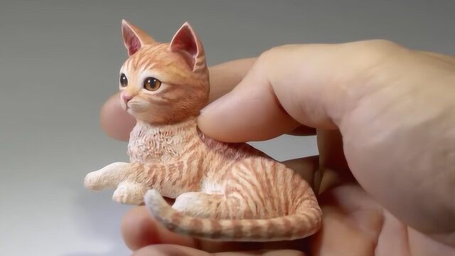 可爱小猫咪:3D猫制造逯小猫