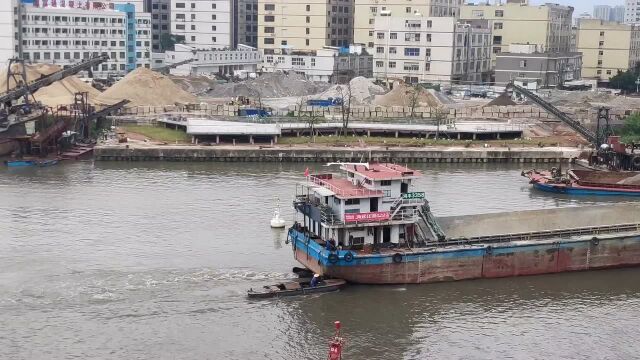 实拍深圳东宝河上的沙船,小船跟着大船跑,沙子都来自于哪里呢