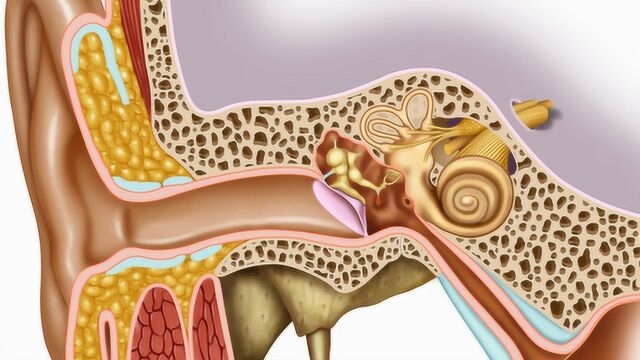 耳鸣的“死穴”,医生忠言:教你4招,学会一招就能打通耳道