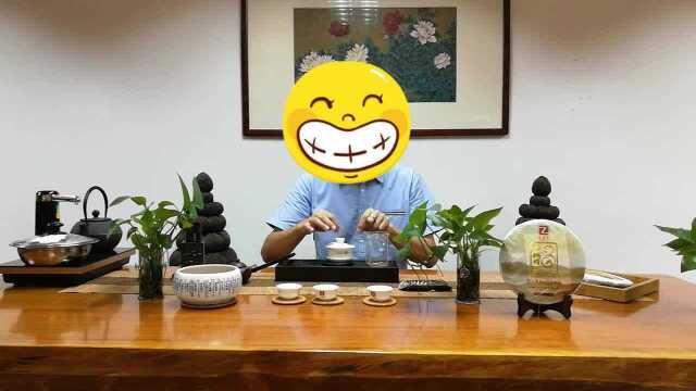 普洱茶饼(熟茶、生茶)如何冲泡最好呢?