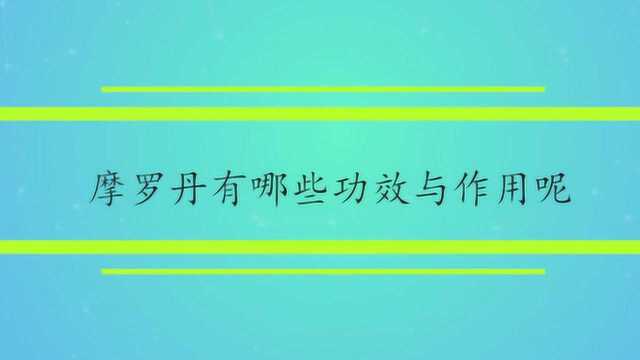 摩罗丹有哪些功效与作用呢