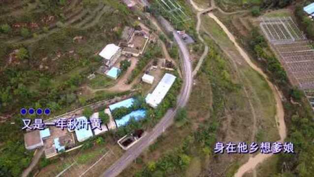 航拍陕北延川县杨家圪坮镇新舍科村,又是一年秋叶黄