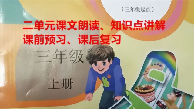 在家学英语,老师讲课文画重点,知识点全覆盖,提高20倍效率.