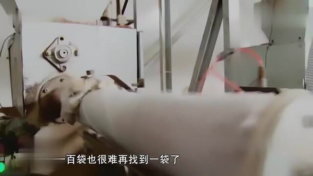 用花生壳竟能种出香菇?绿色技术简单,发家致富