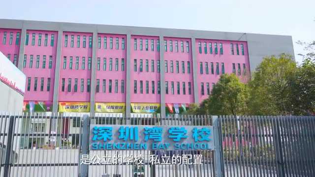 被深圳湾豪宅包围的学校、到底厉害在哪儿呢!