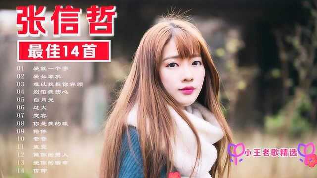 曾经的情歌王子,【张信哲】14首最佳歌曲,一个时代的记忆!