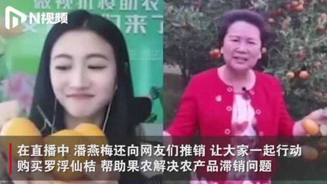 博罗一女副县长当“带货网红”,果园直播推介罗浮仙桔