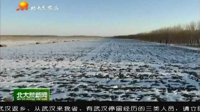 北大荒集团:筑牢农业基础,提升现代农业大基地建设水平