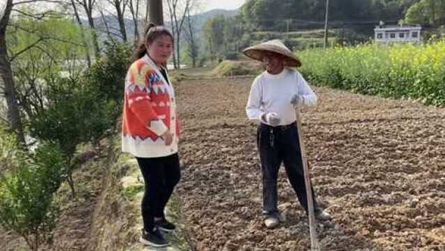 在农村这个行业简直是暴利,全年能赚1450万,坐着就有收入!