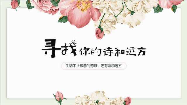 小清新商务工作培训课件汇报商业计划书通用PPT模板