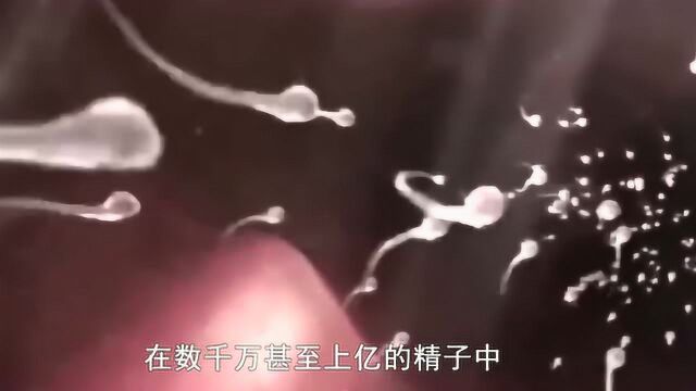 女性是怎样“怀孕”的?看完千万要忍住别笑,原来“怀孕”这么难!