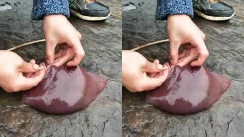 Thumbplayer Poster Plugin Image