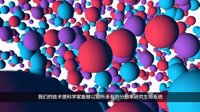 10x Genomics | 加速生物学