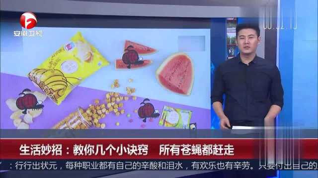 生活妙招:苍蝇太多怎么办,我来教你一招