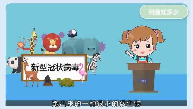 3月24日《如何预防新冠肺炎之小学篇》枣庄市实验学校张培培