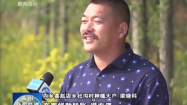 内乡:线上金融服务 助力春耕生产