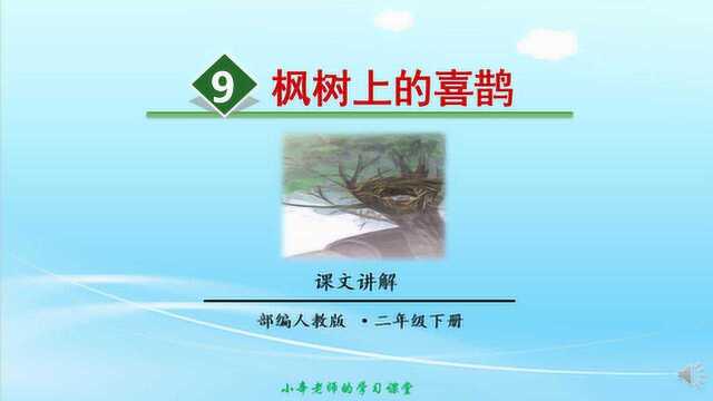 部编版语文二年级下册同步讲解枫树上的喜鹊第二课时课文讲解