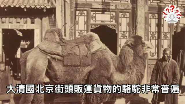 1879年,清朝光绪五年珍贵历史旧影:京城到处是土路,御河两岸很荒凉